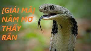 Nằm mơ thấy rắn vào nhà điềm lành hay điềm dữ