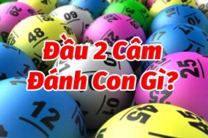 dau-2-cam-danh-lo-de-gi