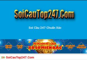 Soi- cau- top-247